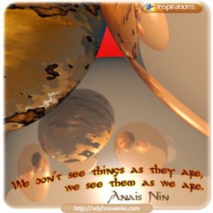 We don't see things as they are, we see them as we are -  Anais Nin