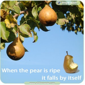 When the pear is ripe it falls by itself